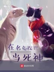 ̽統