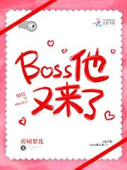 ְҵ촩boss