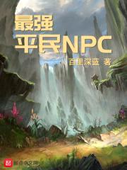 ǿƽNPC